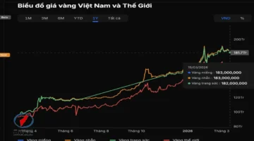 استقرار أسعار الذهب محلياً بفجوة تصل إلى 24 مليون دونغ عن العالمية